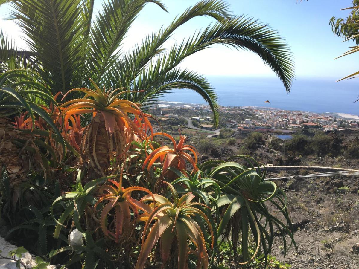 Rosamar Appartement Los Cristianos  Buitenkant foto